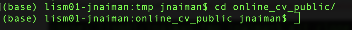 cd into online cv directory